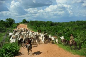 Relações Brasil-EUA: do impeachment à crise da carne