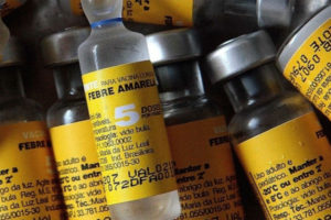 Febre amarela: OMS envia 3,5 milhões de vacinas ao Brasil