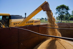 Alta do PIB é pontual e não se sustenta, dizem especialistas