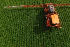 2017: há uma recuperação da economia brasileira?