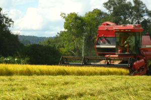 Parem de atrasar o País em briguinhas de cúpula ridículas