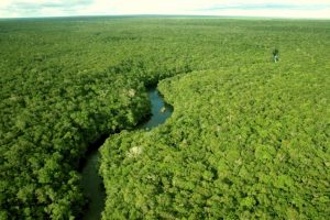 Ecoa o grito: a Amazônia é nossa