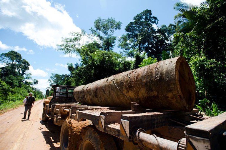 PT reage a ofensiva contra o MST e apresenta projeto para punir grileiros