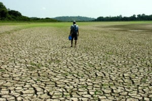 Ação humana contribuiu para seca sem precedentes na Amazônia