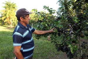 Os alimentos e a inflação