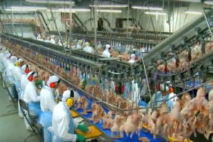 Líder em carnes para muçulmanos, Brasil quer ampliar mercado em 60%
