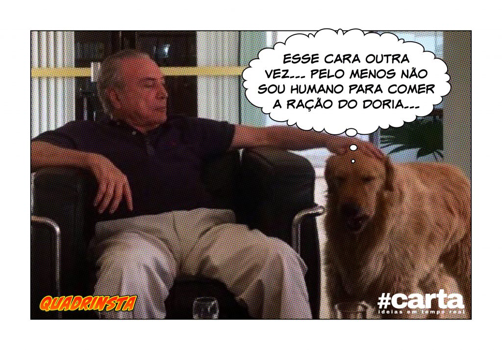 Quadrinsta – Novo enigma da internet: quantos cães você vê na imagem?