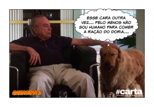 Quadrinsta - Novo enigma da internet: quantos cães você vê na imagem?