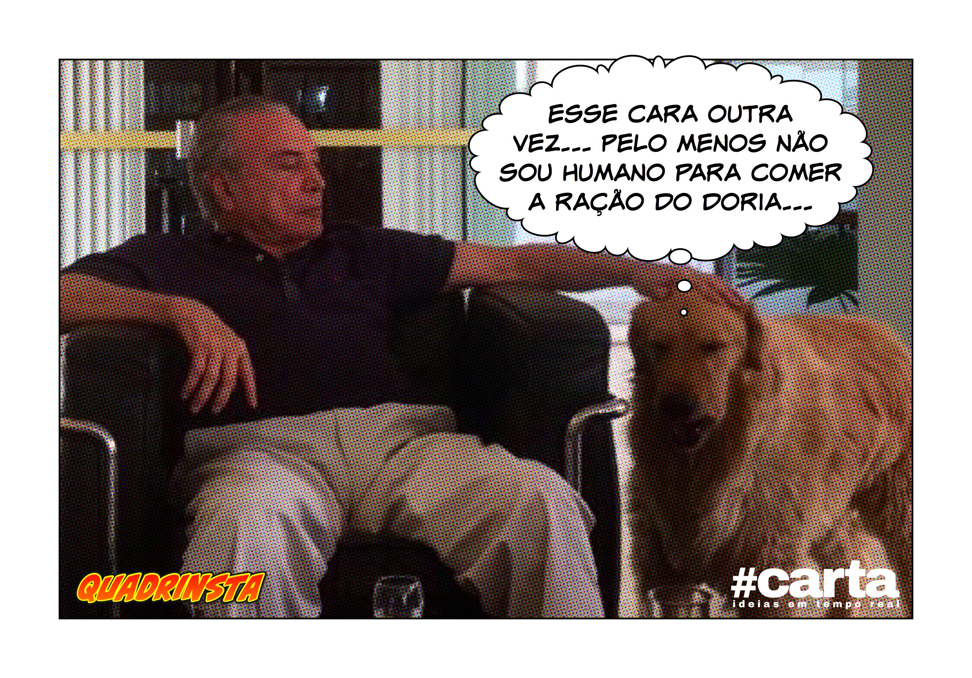 Quadrinsta – Novo enigma da internet: quantos cães você vê na imagem?