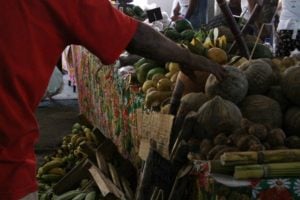 A resistência da agricultura familiar e orgânica ao 'Pacote do Veneno'