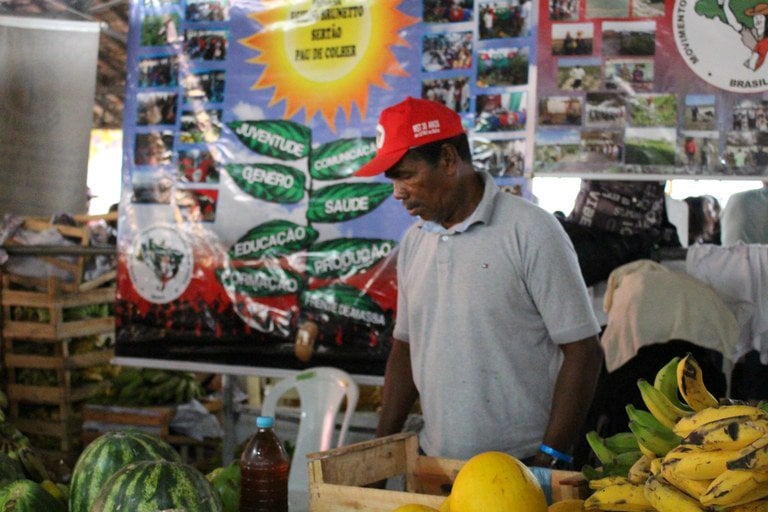 Feiras agrícolas, um terreno fértil para os sem-terra
