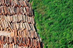 Arrocho fiscal e golpe de 2016 são ameaças ao meio ambiente