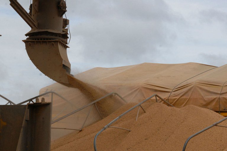 O Brasil exporta o agronegócio, é sabido. Mas e a agricultura familiar?