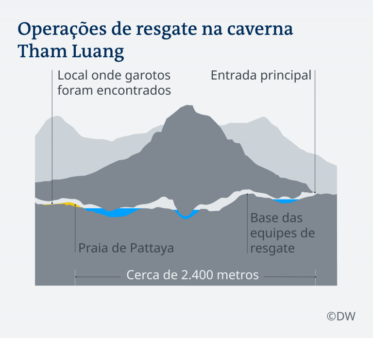 grafico dw.png