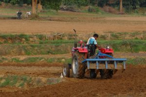 Censo agropecuário: como medir avanços sem dados comparáveis?