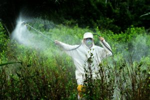 França anuncia “guerra” contra agrotóxico da Monsanto