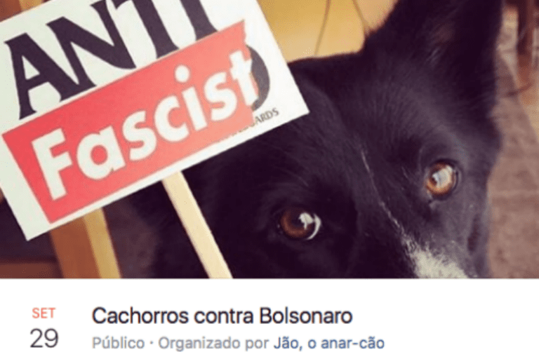 cachorro.png
