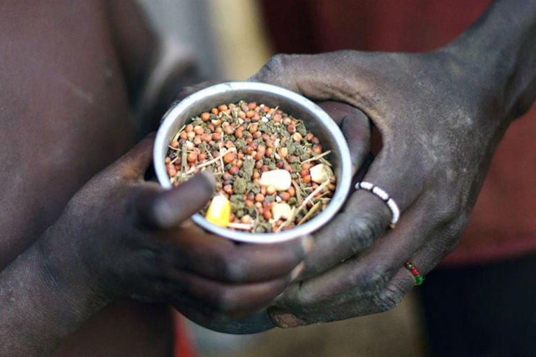Uma em cada nove pessoas no mundo passa fome, diz ONU