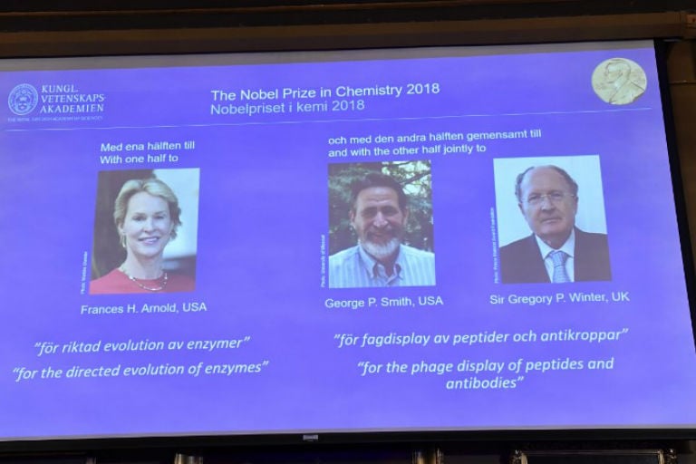 Trio vence Nobel de Química por usar a evolução para criar proteínas