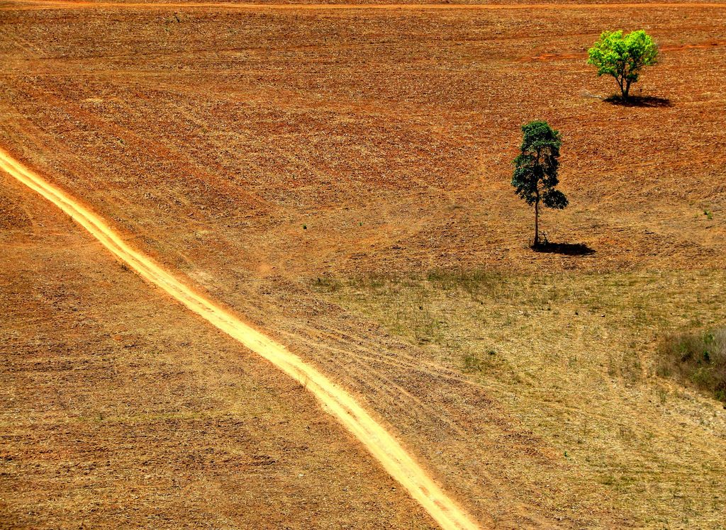 As ameaças de Bolsonaro ao papel central do Brasil no meio ambiente