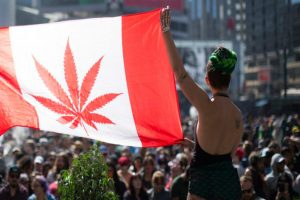 Canadá legaliza a maconha para uso recreativo
