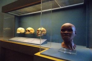 Crânio de Luzia é encontrado nos escombros do Museu Nacional
