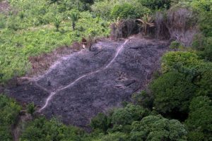 Para Nature, eleição de Bolsonaro é ameaça à Ciência