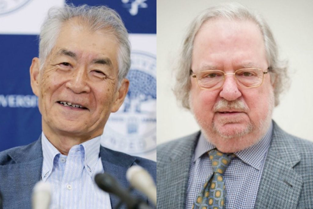 Imunologistas levam Nobel de Medicina por pesquisa contra câncer