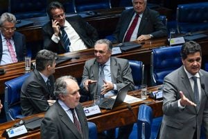 Qual é o perfil de quem quer ser senador?