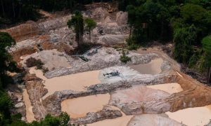 Estudo denuncia epidemia de garimpos ilegais na Amazônia brasileira
