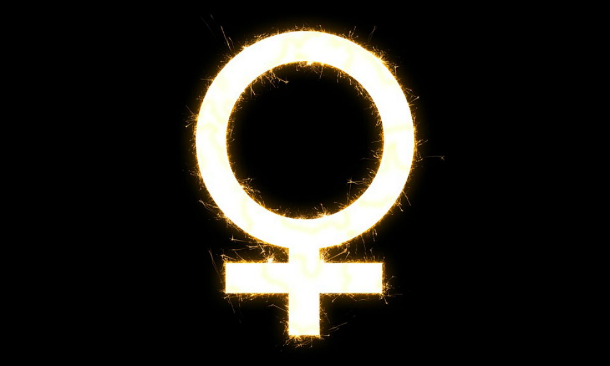 O Brasil apresentou retrocesso em 2018 em relação ao acesso feminino (Pixabay) 