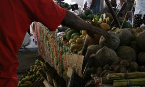 A resistência da agricultura familiar e orgânica ao 'Pacote do Veneno'