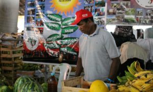 Feiras agrícolas, um terreno fértil para os sem-terra