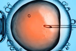 "O aborto só é proibido para quem não tem dinheiro 