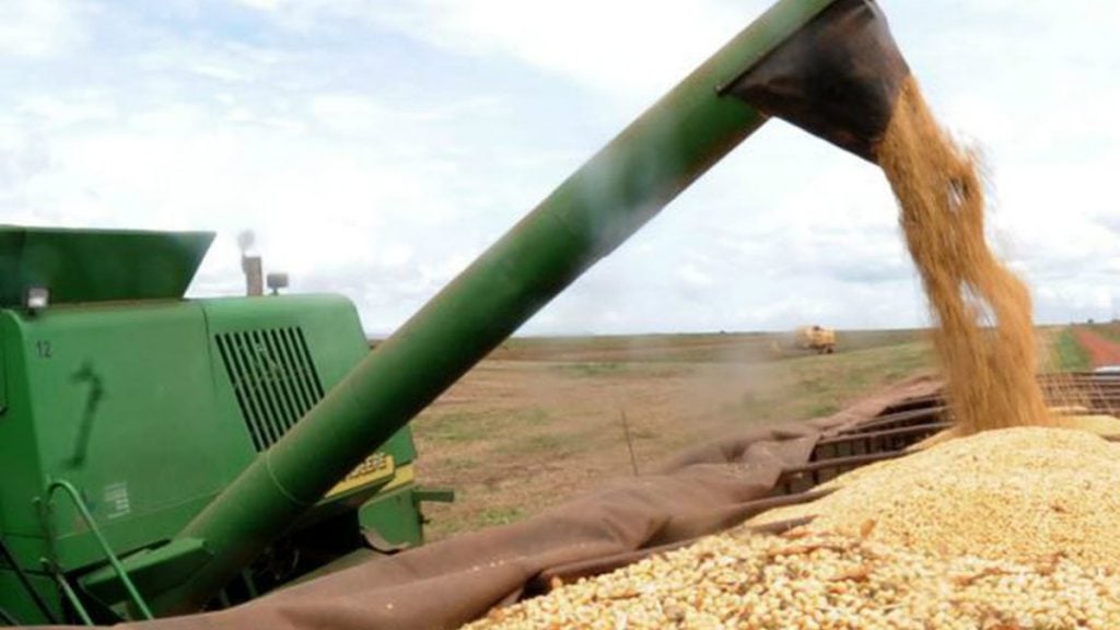 As grandes empresas estrangeiras do agronegócio nacional