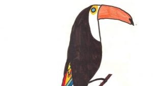 O Tucano