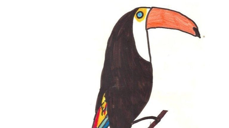 O Tucano