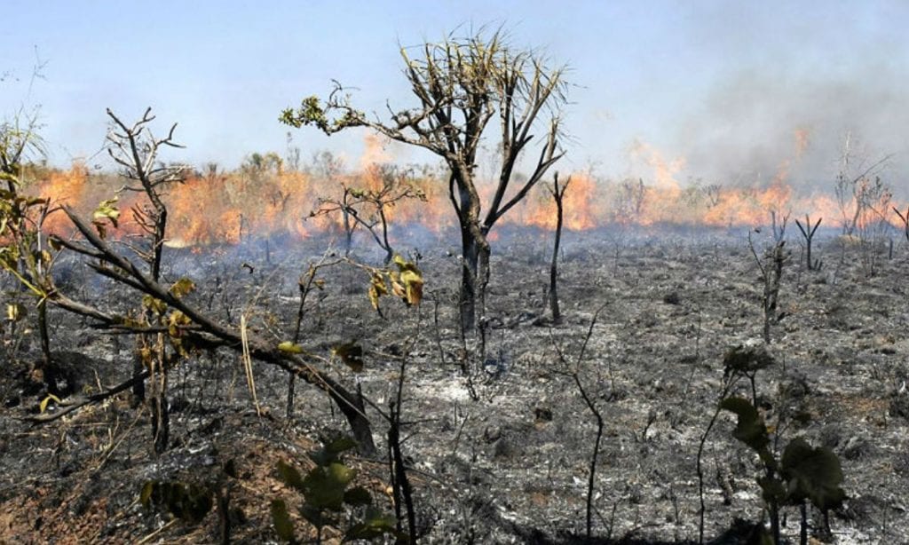 Ministério confirma recursos para combate a desmatamento na Amazônia