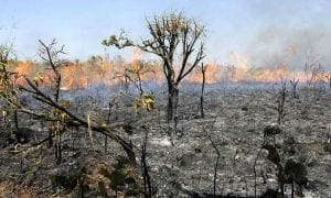 O Brasil arde junto com a Amazônia
