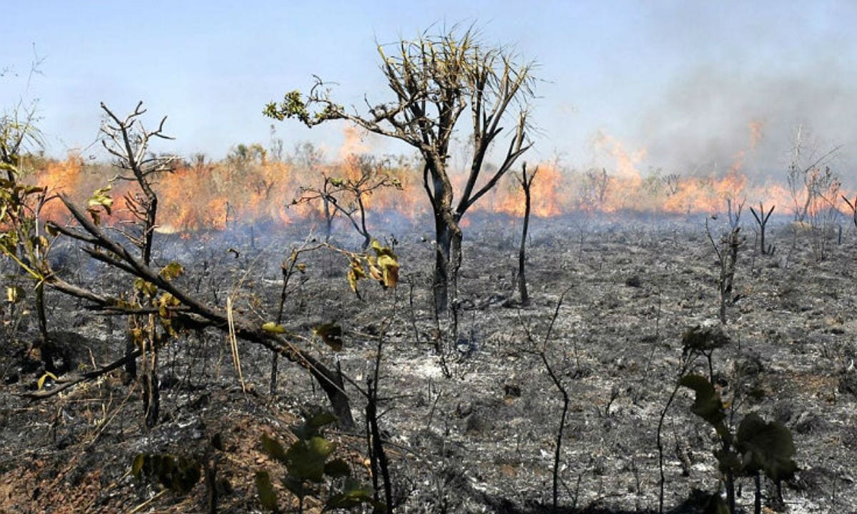 Cenas da Amazonia em chamas. Foto: ABr Cenas da Amazonia em chamas. Foto: ABr