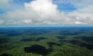 Brasileiros pagarão 118 bilhões para legalizar grileiros na Amazônia