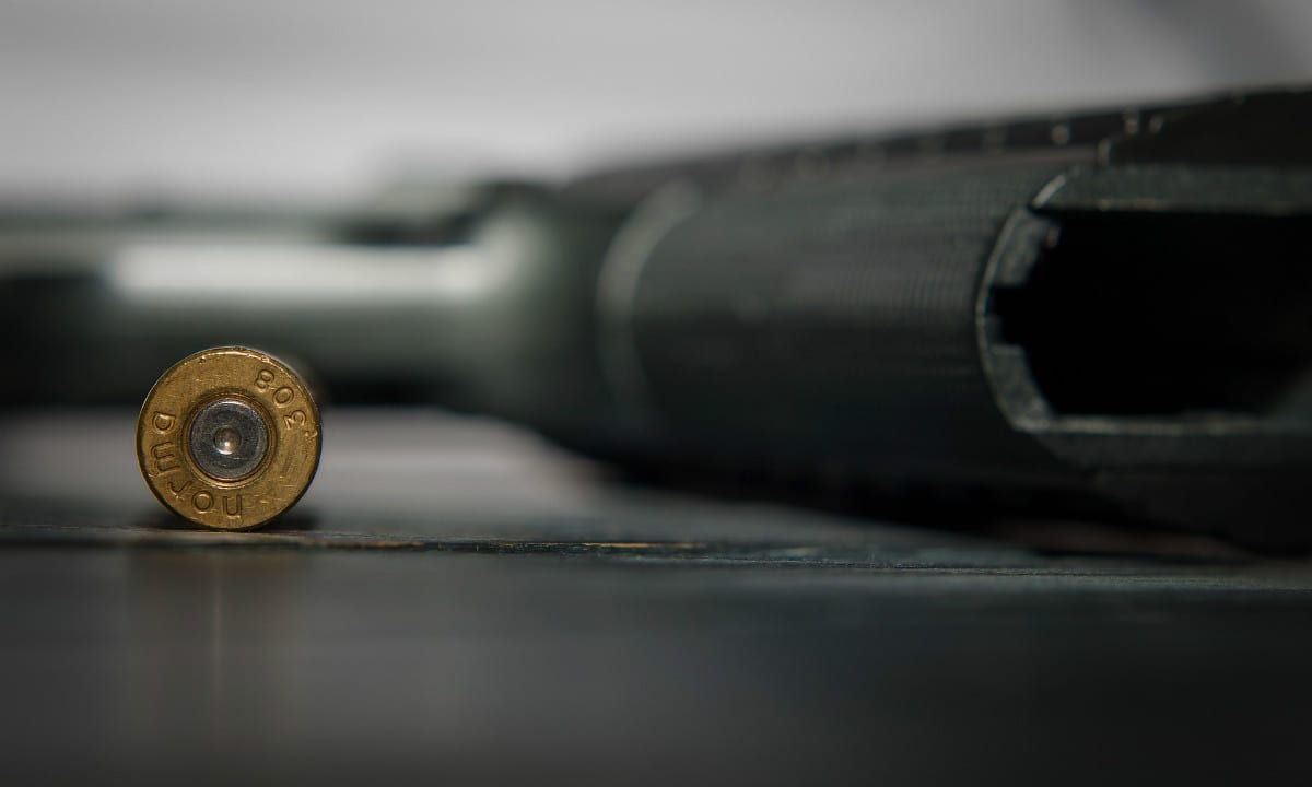 Homens, ricos e heterossexuais são mais propensos a defenderem a posse de armas (Foto: Pixabay) 