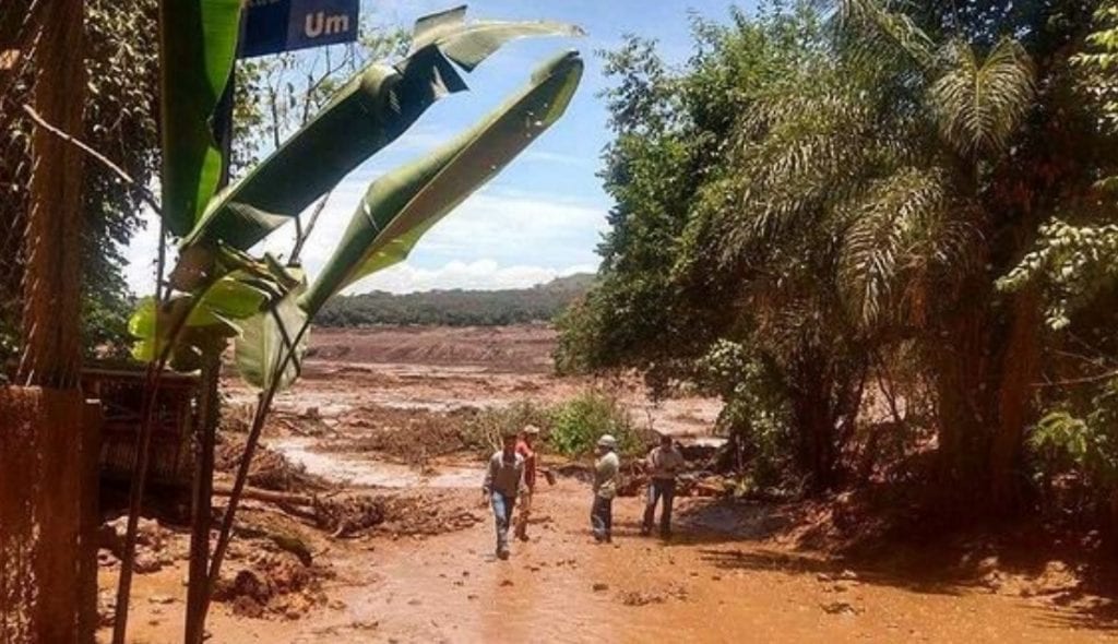 Brumadinho, 1 mês: “Vou lutar até o fim dos dias por justiça”