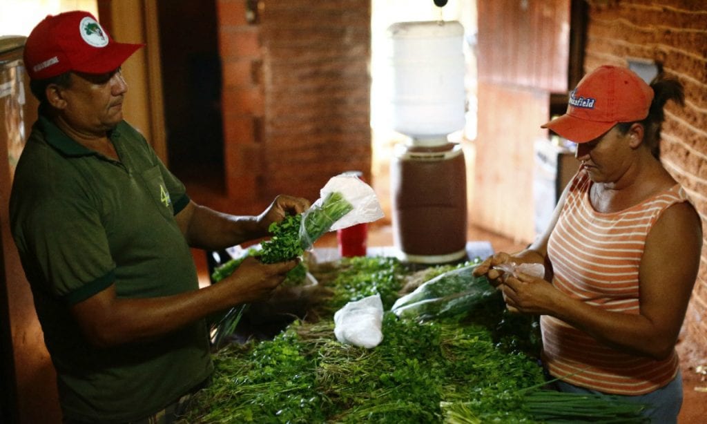 Governo Bolsonaro volta atrás e cancela suspensão da reforma agrária