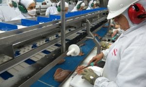 Suspensão da importação de frango brasileiro é retaliação saudita?