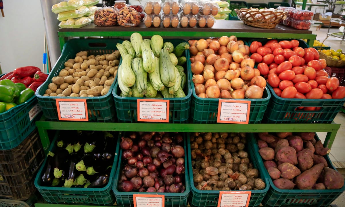 Alemanha debate legalizar a prática de pegar comida do lixo