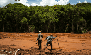 Em que planeta você vive?