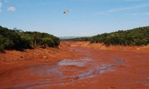 Avanço da lama vai matando o rio Paraopeba