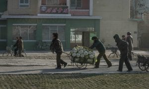 Coreia do Norte tem pior colheita em mais de uma década