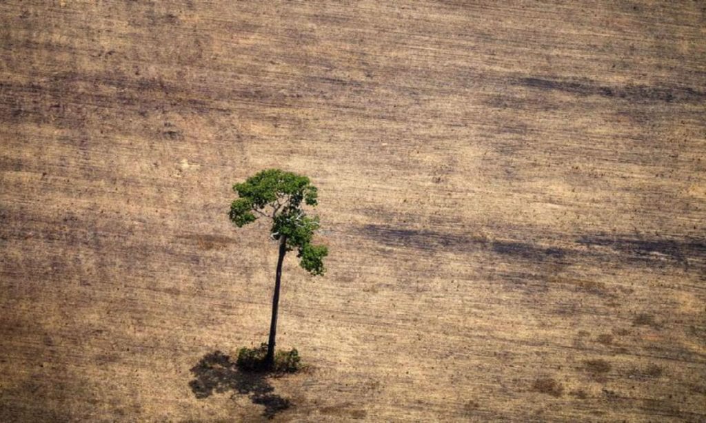 Debate climático toma rumo indecente. E o Brasil não colabora